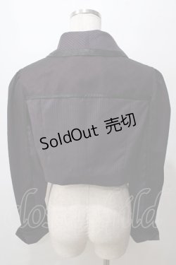 画像2: Hoshibako Works / ヒヤシンスの詩　ショートジャケット  パープル Y-25-08-15-091-LO-JA-SZ-ZT0207C