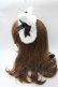 画像2: Angelic Pretty / Milk Catヘッドドレス  黒 Y-25-08-19-034-AP-AC-SZ-ZY (2)