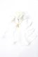 画像1: Innocent World / ローズドレープジャボ  ホワイト Y-25-08-30-013-IW-ZA-SZ-ZY (1)