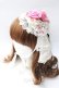 画像1: Angelic Pretty / Dramatic Roseキャノティエ  白 Y-25-08-30-053-AP-AC-SZ-ZY (1)