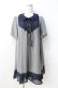 画像1: axes femme / シフォンチュニック  グレー Y-25-08-31-038-AX-TO-SZ-ZY (1)