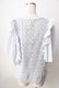 画像2: axes femme / 袖フリルカットワークレーストップス  サックス Y-25-09-05-044-AX-TO-SZ-ZT103 (2)