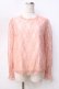 画像1: evelyn / 総レーストップス M ピンク Y-25-09-13-055-LO-SK-SZ-ZT510 (1)