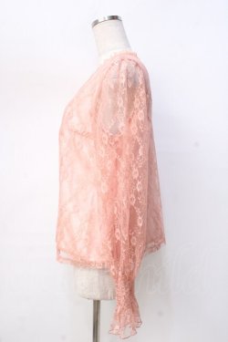 画像2: evelyn / 総レーストップス M ピンク Y-25-09-13-055-LO-SK-SZ-ZT510