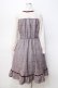 画像3: axes femme POETIQUE / レース切替チェックワンピース   Y-25-09-16-065-AX-OP-SZ-ZY (3)