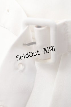 画像3: axes femme / ネモフィラ刺繍ベルト付スカート  生成り Y-25-09-22-144-AX-SK-SZ-ZT010