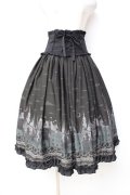 axes femme POETIQUE / ダークメルヘン柄ミディスカート  グリーン Y-25-09-29-150-AX-SK-SZ-ZY