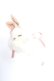 画像1: PINK HOUSE / ジョイントうさぎぬいぐるみコサージュ  アイボリー Y-25-10-05-001-LO-ZA-SZ-ZY (1)