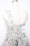 画像5: Angelic Pretty / Rose Museumジャンパースカート  ミント Y-25-10-15-066-AP-OP-SZ-ZY (5)