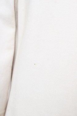 画像3: Emily Temple cute / スプリングコート  ベージュ Y-25-11-01-121-ET-CO-SZ-ZY