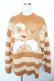 画像1: Candy Stripper / GIZMO BORDER KNIT グレムリンニット 2 ブラウン Y-25-11-06-040-PU-TO-SZ-ZY (1)