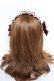 画像3: Pina sweetcollection / ローズラインカチューシャ  ワイン Y-25-11-09-056-LO-AC-SZ-ZY (3)