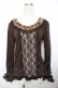 画像1: axes femme / 袖口レーシープルオーバー M 茶 Y-25-11-21-008-AX-TO-SZ-ZY (1)