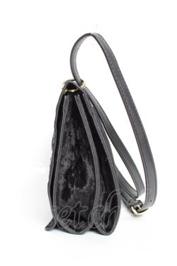 画像3: axes femme / ベロア刺繍ショルダー  黒 Y-25-11-22-025-AX-BG-SZ-ZY