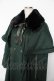 画像3: axes femme POETIQUE / ファー襟付きケープロングコート  グリーン Y-25-11-24-098-AX-CO-AS-ZY (3)