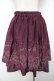 画像2: axes femme / 夜空刺繍スカート  ワイン Y-25-11-24-115-AX-SK-SZ-ZY (2)