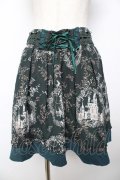 axes femme / シャンデリアプリントスカート  グリーン Y-25-11-24-117-AX-SK-SZ-ZY