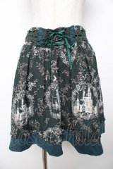 axes femme / シャンデリアプリントスカート  グリーン Y-25-11-24-117-AX-SK-SZ-ZI