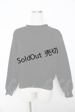 画像1: powder / ハイネックセーター F 黒 Y-25-11-30-111-LO-TO-SZ-ZY