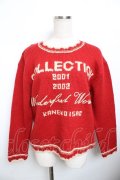 WONDERFUL WORLD / collectionセーター F 赤 Y-25-11-30-141-LO-TO-SZ-ZY