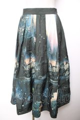 axes femme Nostalgic / 幻想街柄ロングスカート F グリーン Y-25-12-04-150-LO-SK-SZ-ZY
