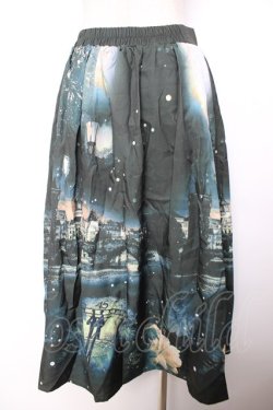 画像2: axes femme Nostalgic / 幻想街柄ロングスカート F グリーン Y-25-12-04-150-LO-SK-SZ-ZY