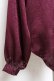 画像3: Deorart / ジャガード柄ヴァンパイアドレスシャツ L ワイン Y-25-12-10-042-PU-BL-SZ-ZY (3)