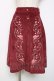 画像1: Honey Cinnamon / 刺繍スカート  ワイン Y-25-12-11-098-LO-SK-AS-ZY (1)