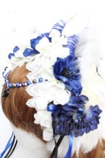 画像6: Atelier Beatrice / 角×耳フラワーカチューシャ  ホワイト×ブルー Y-25-12-12-117-GO-AC-SZ-ZT644 (6)