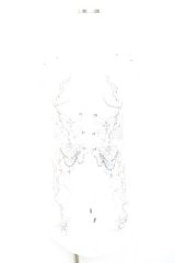 Rozen Kavalier / プリントノースリーブトップス  白 Y-25-12-17-039-OO-TO-SZ-ZY