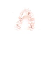 画像2: Maison de FLEUR / リボン柄ジャカードスクエアトートS F アイボリー Y-25-12-17-014-LO-BG-SZ-ZTK040 (2)