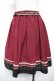 画像2: axes femme POETIQUE / バイカラープリーツスカート  ワイン Y-25-12-17-154-AX-SK-SZ-ZY (2)