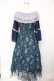 画像2: axes femme / オーナメント柄レース重ワンピース F 紺 Y-25-12-22-148-AX-OP-SZ-ZY (2)