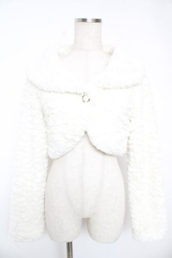 画像1: LIZ LISA / ファージャケット 0 オフ Y-25-12-23-071-LO-JA-SZ-ZY