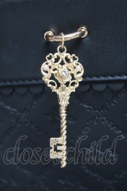 画像4: axes femme / 鍵付き薔薇デザインバッグ  黒 Y-25-12-27-021-AX-BG-SZ-ZY