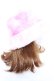 画像4: Nile Perch / ファーバケットハット  ピンク Y-26-01-01-017-LO-AC-SZ-ZY (4)