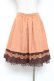 画像2: axes femme / 薔薇刺繍バイカラースカート   Y-26-01-09-125-AX-SK-SZ-ZY (2)