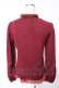 画像2: axes femme / ビスチェ切り替えプルオーバー  ワイン Y-26-01-12-042-AX-TO-SZ-ZY (2)