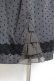 画像3: axes femme / ドットフロッキーサス付スカート  グレー Y-26-01-12-136-AX-SK-SZ-ZY (3)