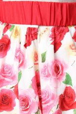画像5: Angelic Pretty / ドレッシーローズスカート  白 Y-26-01-12-166-AP-SK-SZ-ZI (5)