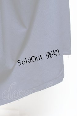 画像5: Qutie Frash / 袴ロングスカート  青 Y-26-01-20-184-QU-SK-SZ-ZI