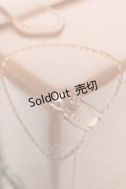 画像5: Fi.n.t / ベルト使いトランクバッグ  ブラウン Y-26-01-22-041-CA-BG-SZ-ZY