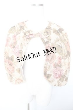 画像1: Kurumi Collaboration / TT*KRゴブランケープ LL 中薄橙 Y-26-01-22-102-LO-TO-SZ-ZY