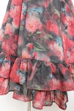 画像4: Sheglit / "Rose Garden"ワンピース  黒×赤 Y-26-01-22-116-EL-OP-SZ-ZY