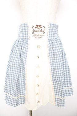 画像1: Amavel / ギンガムチェック柄切替刺繍入りサリバンスカート M サックス Y-26-01-22-153-CA-SK-SZ-ZY