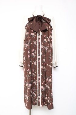 画像1: axes femme / ビスチェ切替Aライン花柄ワンピース  ブラウン Y-26-01-24-090-AX-OP-SZ-ZY
