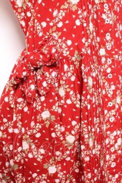 画像6: PINK HOUSE / ローズプリントワンピース  赤 Y-26-01-27-007-LO-OP-SZ-ZY