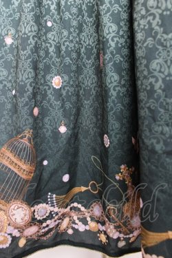 画像3: axes femme / アンティーク柄2WAYスカート  グリーン Y-26-01-28-159-AX-SK-SZ-ZY