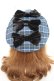 画像1: axes femme kawaii / タータンチェックベレー帽  青 Y-26-01-31-034-AX-AC-SZ-ZY (1)