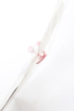 画像3: ALGONQUINS / LIPピアス  赤 Y-26-02-04-020-AL-AC-SZ-ZY